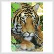 cross stitch pattern Bengal Tiger 3