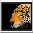 cross stitch pattern Eyes of Prey leopard