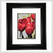 cross stitch pattern Lucious Tulips