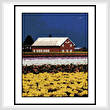 cross stitch pattern Red Barn in Tulip Fields