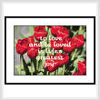 cross stitch pattern Love Tulip Sampler