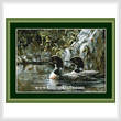 cross stitch pattern Loon Serenade