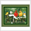 cross stitch pattern Backyard Beauties
