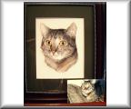 photo cross stitch rosemary kord