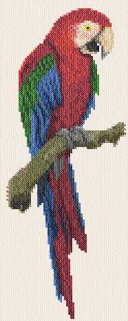 cross stitch pattern Green-winged Macaw