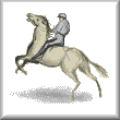 cross stitch pattern Jockey