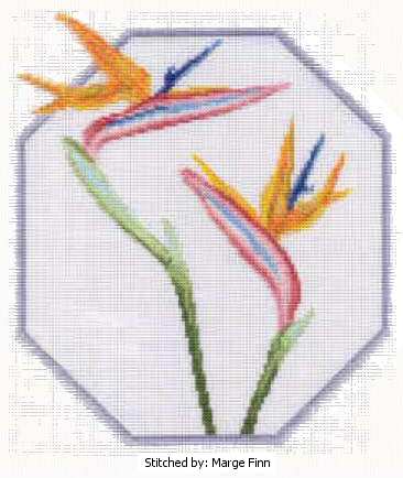 cross stitch pattern Bird of Paradise