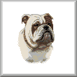 cross stitch pattern Bulldog