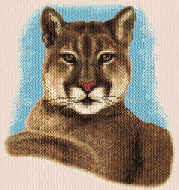 cross stitch pattern Cougar