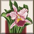 cross stitch pattern Orchid