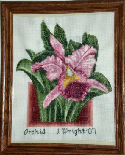 cross stitch pattern Orchid