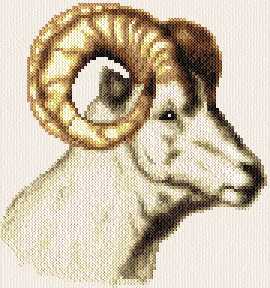 cross stitch pattern Ram