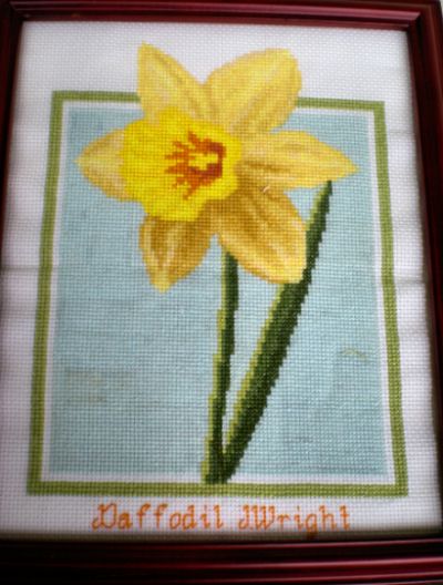cross stitch pattern Daffodil