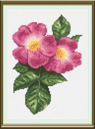 cross stitch pattern Wild Rose