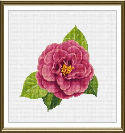 cross stitch pattern Camellia