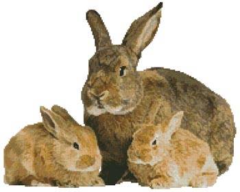 cross stitch pattern Rabbits