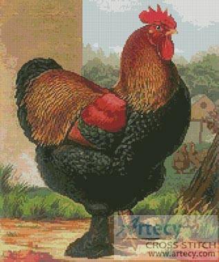 cross stitch pattern Rooster 2