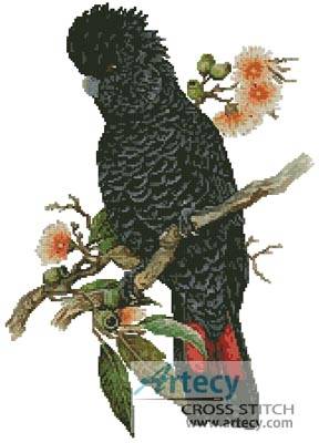 cross stitch pattern Red Tailed Cockatoo