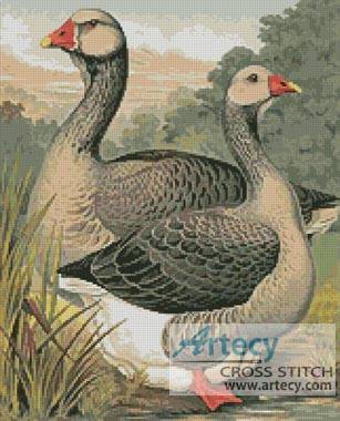 cross stitch pattern Toulouse Geese