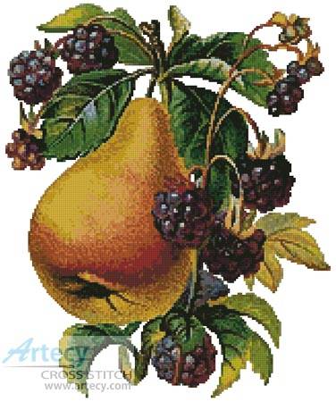 cross stitch pattern Pear and Blackberries