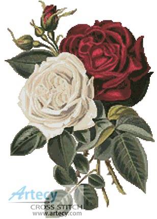 cross stitch pattern Red and White Roses