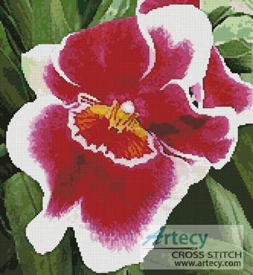 cross stitch pattern Red and White Orchid