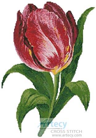 cross stitch pattern Tulip