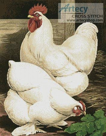 cross stitch pattern White Cochin Chickens