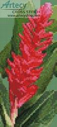cross stitch pattern Mini Red Ginger Blossom