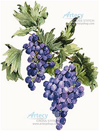 cross stitch pattern Concord Grapes