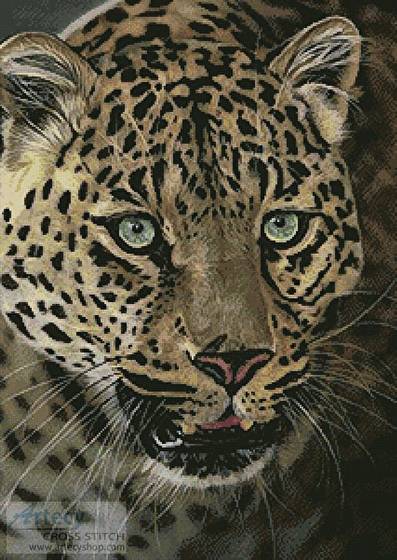 cross stitch pattern After Dark all Cats are Leopards
