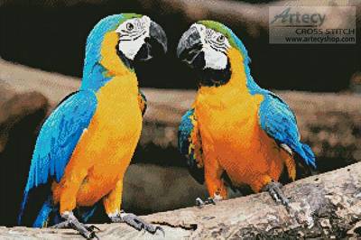 cross stitch pattern Blue and Yellow Macaws