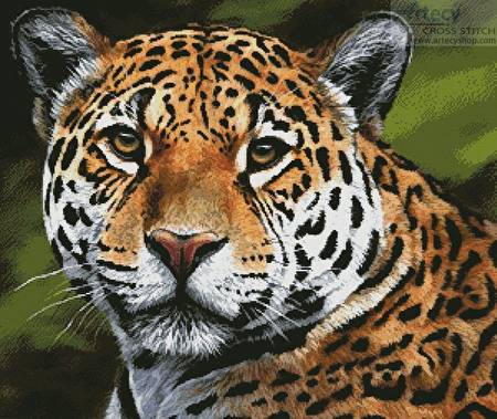 cross stitch pattern Jaguar Portrait