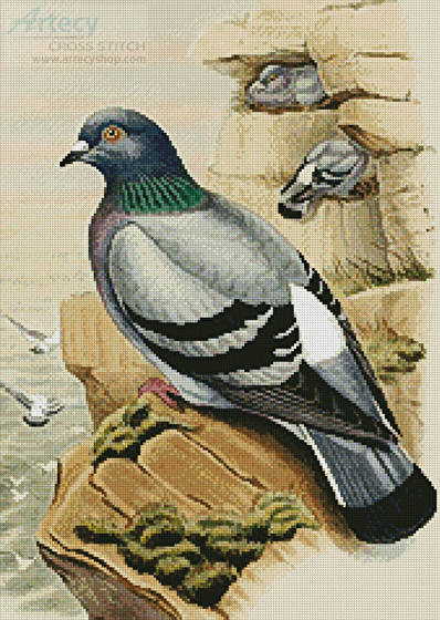 cross stitch pattern Pigeon