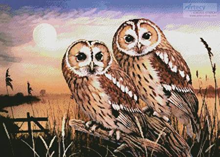 cross stitch pattern Tawny Owls