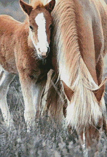 cross stitch pattern Pony and Foal