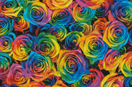 cross stitch pattern Rainbow Roses