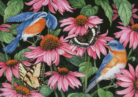 cross stitch pattern Bluebirds and Coneflowers