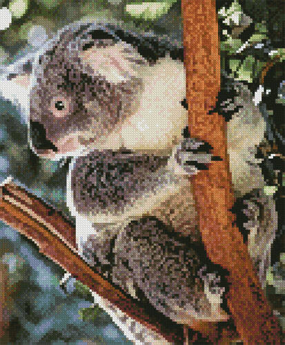 cross stitch pattern Mini Koala Photo