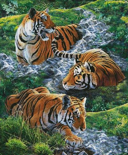 cross stitch pattern Tigers in Water (Large)