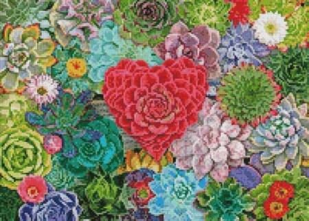 cross stitch pattern Mini Succulent Love