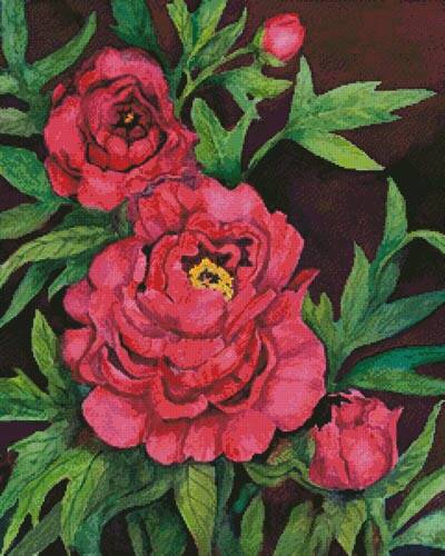 cross stitch pattern Peonies in Deep Red