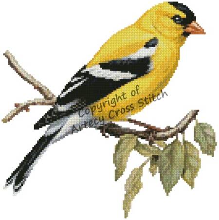 cross stitch pattern American Goldfinch on a Branch