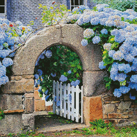 cross stitch pattern Hydrangeas Garden Gate
