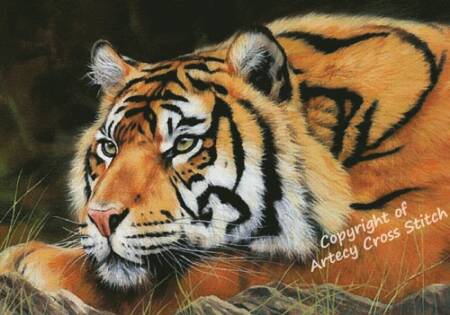cross stitch pattern Sumatran Tiger Resting (Large)