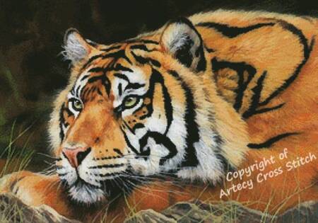 cross stitch pattern Sumatran Tiger Resting