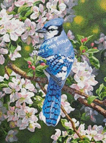 cross stitch pattern Blue Jay in Apple Blossoms (Crop)