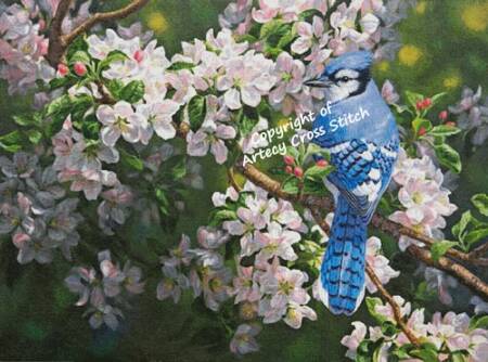 cross stitch pattern Blue Jay in Apple Blossoms (Large)