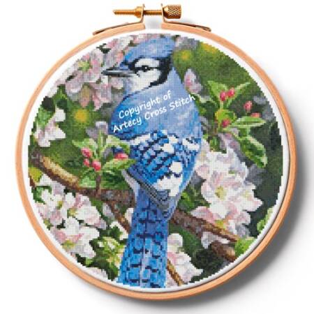 cross stitch pattern Blue Jay in Apple Blossoms Hoop (Ex Lrg)