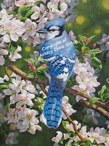 cross stitch pattern Blue Jay in Apple Blossoms (Large Crop)